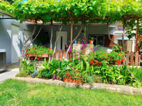 Apartments Pavao 1402